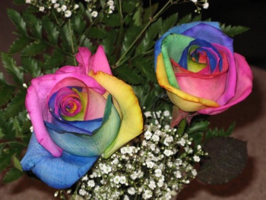 Was her favorite color pink? Blue? Was it roses but no daisies, or the other way around? This should cover it! 