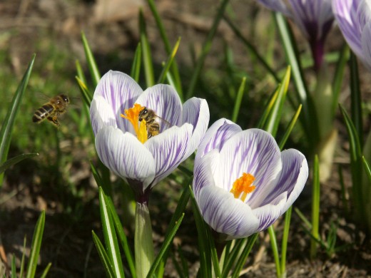 Meeting friends after long winter :-)