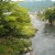 A view of the Nagara River in the middle of Gujo City.