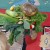 Select a variety of vegetables for your soup. Select a variety of vegetables for your soup.