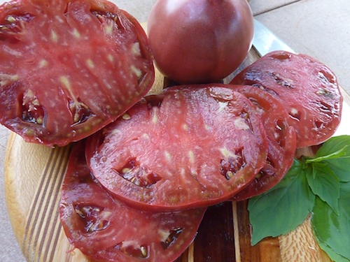 Big, flavorful tomatoes require AT LEAST six hours of sunlight a day.