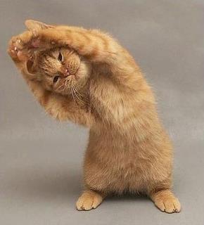 just follow me this...a sexy ever stretching pose...