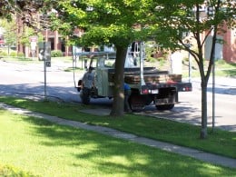 The plywood arrives. It will be used to make a safe area for the trucks to park without sinking into the yard or breaking the sidewalk. The plywood arrives. It will be used to make a safe area for the trucks to park without sinking into the yard or breaking the sidewalk.