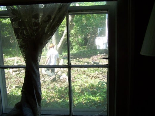 One of the many house windows that was once filled with a tree-side view. Within a few hours, even the remaining trunks were gone. One of the many house windows that was once filled with a tree-side view. Within a few hours, even the remaining trunks were gone.