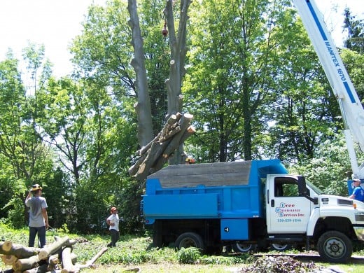 Using the crane to lift logs into the back of the truck Using the crane to lift logs into the back of the truck