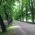 Midday in summer, trees march along a river, Leipzig, Germany. Midday in summer, trees march along a river, Leipzig, Germany.