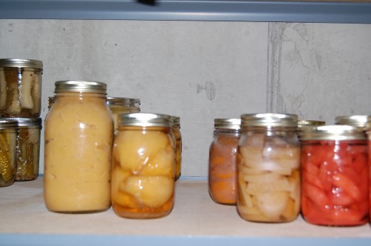 Canned food will stay viable for long enough to get your gardens going.