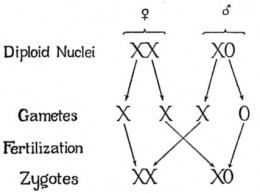 https://usercontent2.hubstatic.com/6622393_f260.jpg