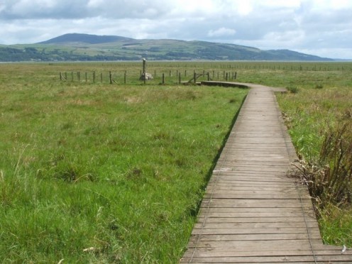 Approach to the Martyrs' Stake: a boardwalk leading to this monument Approach to the Martyrs' Stake: a boardwalk leading to this monument