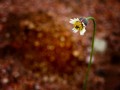Why Am I sensitive? - A Little Help for Highly Sensitive People