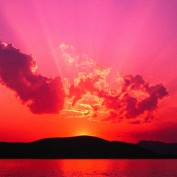 velichk profile image