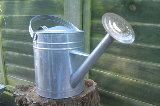 Use a watering can instead of garden hose