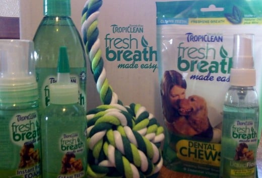 A collection of products from Tropiclean's Fresh Breath Made Easy line
