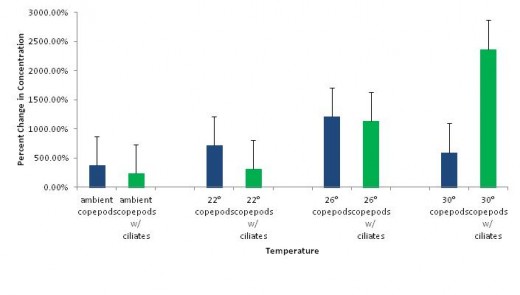 Figure 3. Percent change in concentration of copepods in the presence of ciliates and copepods in the absence of ciliates across four different temperature treatments. 