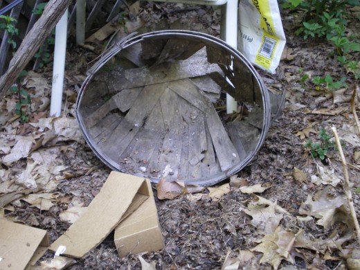 Garden debris, leaf litter, etc. needs to be removed.