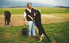 Jack, the dog greets Barnie Day on his farm. Barnie is suffering well with Parkinson's Disease.