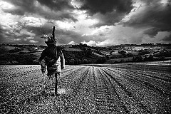 Lovely black and white rendering of a scarecrow.