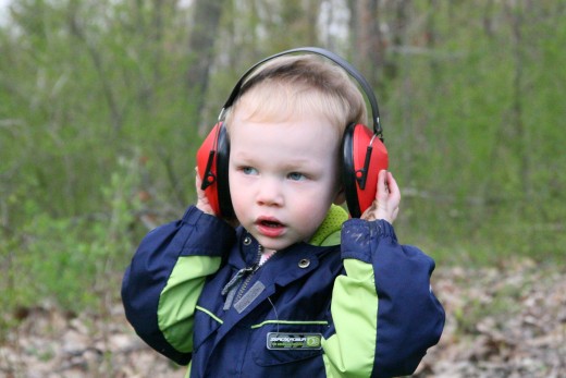 Children should wear hearing protection when exposed to loud noises: simple over-the-ear headphones work best for small children.