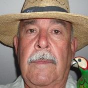 Mastro Geppetto profile image