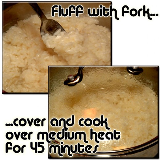 Fluff the rice with a fork, and cover. Allow to cook over medium heat for 45 minutes.