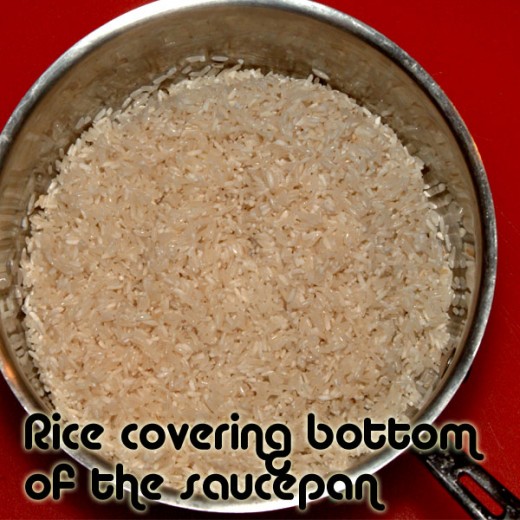 Rice should fully cover the bottom evenly.