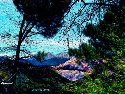 Notice that the textures come alive with color and movement- just another reason to invest in Photo Shop CS6.