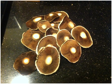 Crimini Mushrooms