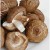Shiitake Mushrooms Shiitake Mushrooms