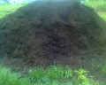Bark Mulch Helps to Make Your Garden Beautiful