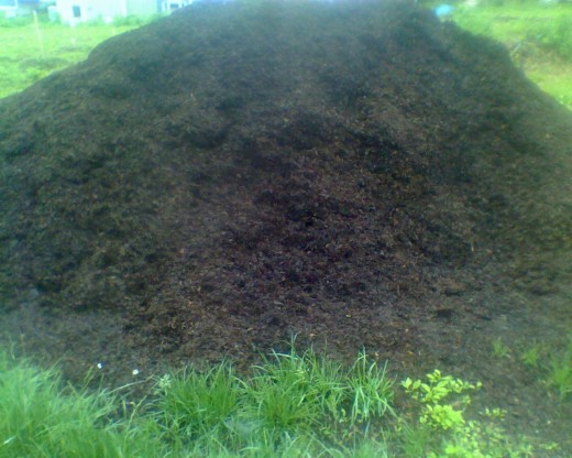 1 of 3 mountains of bark mulch shared by fellow co-housing community members