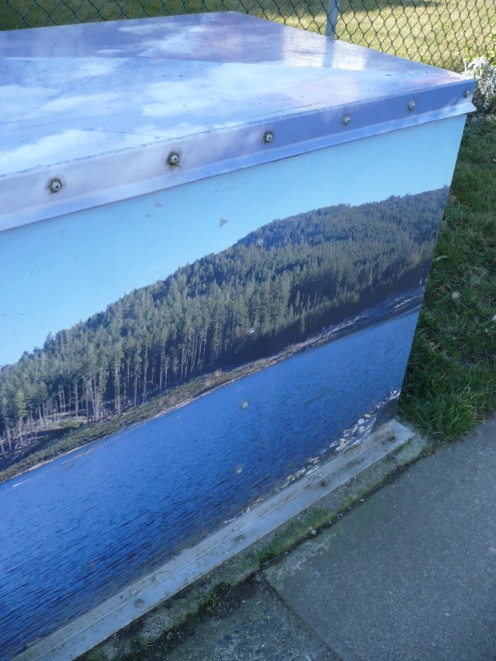 The beautiful forests of BC and Pacific Ocean are depicted here.