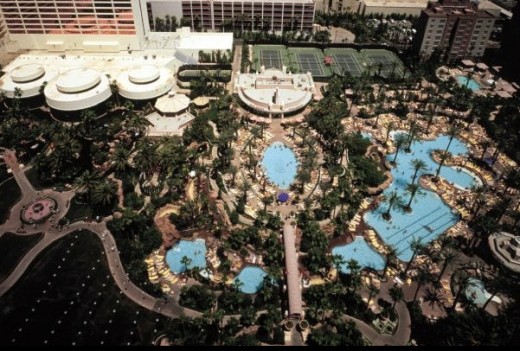Flamingo pool