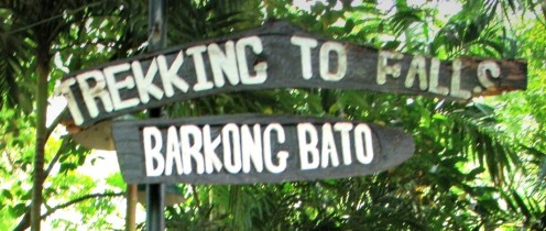Trekking going to the falls starts here!