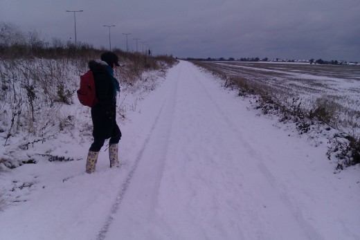 Experiencing the elements