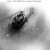 US Navy photo of Scorpion wreck (bow), by en:Bathyscaphe Trieste.
