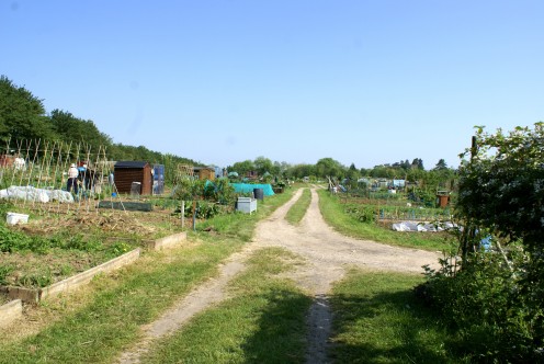 View over the allotments