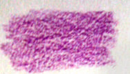 Derwent Coloursoft in Fuchsia