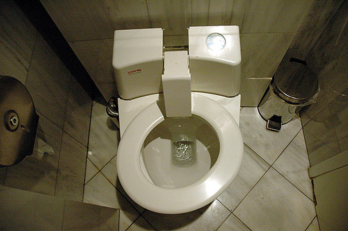 Unusual bathroom Photo: caribb via flickr