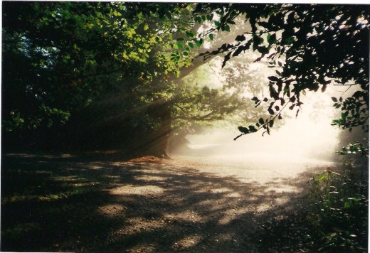 Hampstead Heath