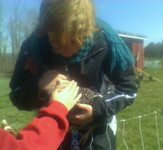 A child petting a chicken