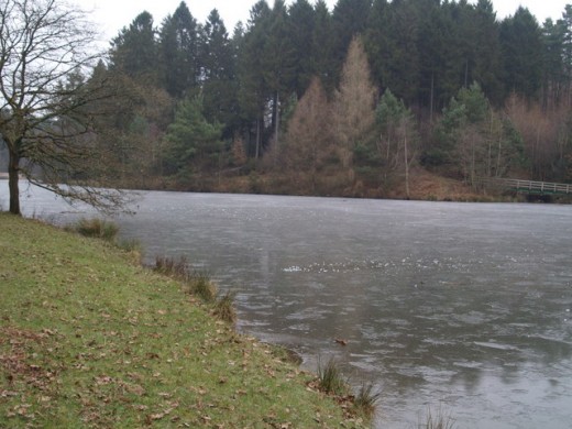 A frozen lake in the Dean.