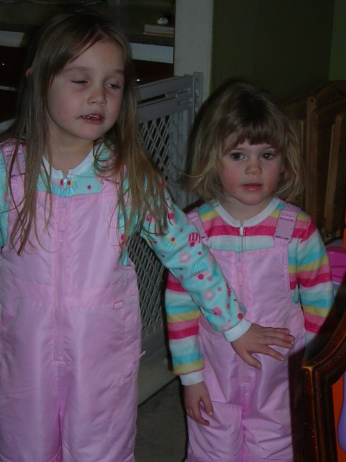Bossy Big Sis