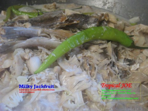 Milky Jackfruit - cooked in coconut milk with dried fish, green long pepper and spices