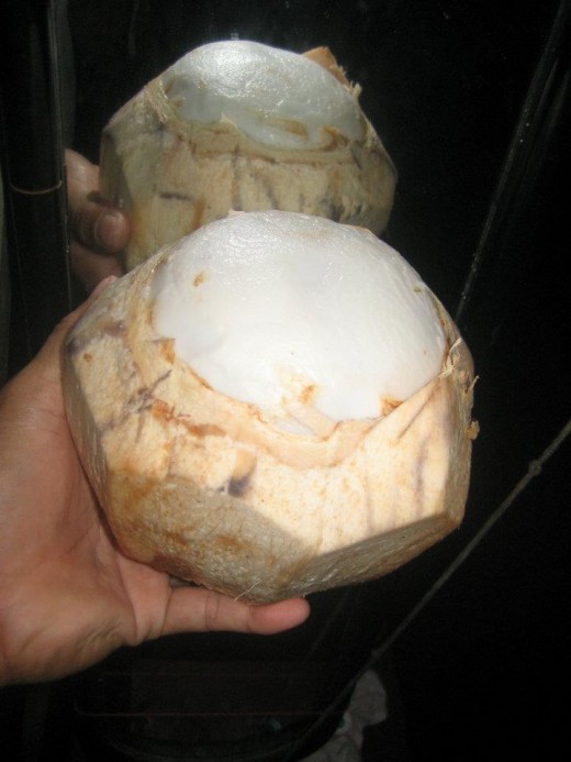 Buko - young coconut meat and juice, dubbed as the most popular tropical fruit (All photos by Travel Man)
