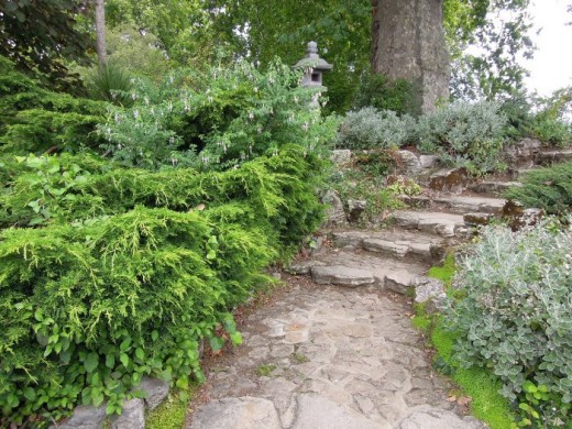 Planted area and path in Stoke Park 
