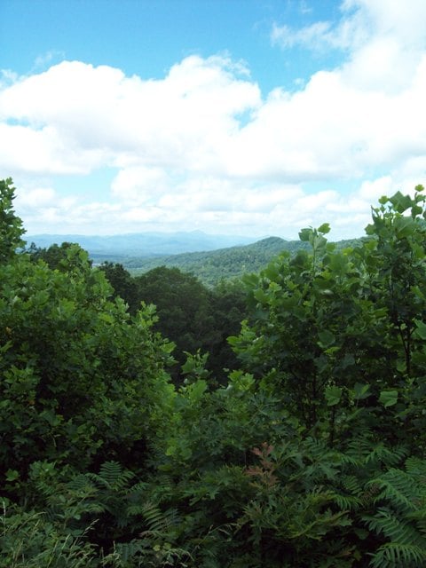 The view at Haw Creek Valley.