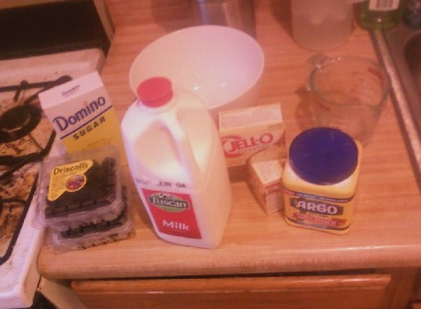 All of the ingredients to make blackberry pudding!