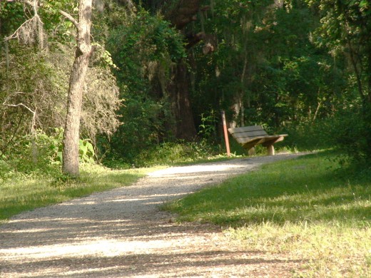 Go hiking or biking to nowhere in particular.