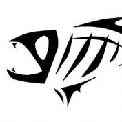 tmfisher profile image