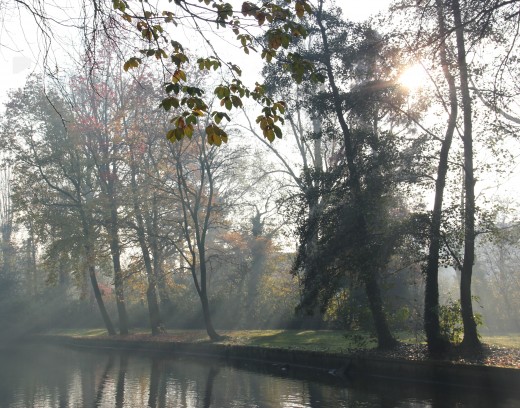 Bruges, November 2011